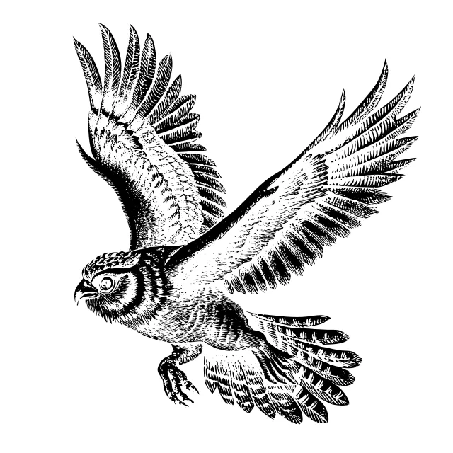 Flying owl
