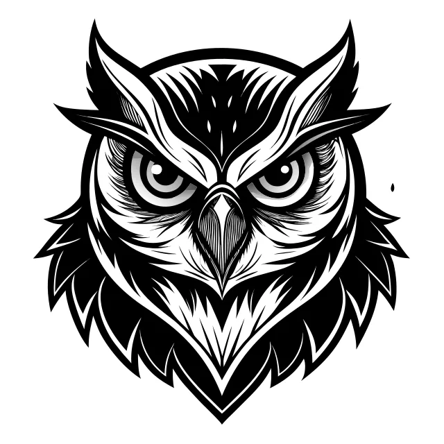 Owl face cartoon