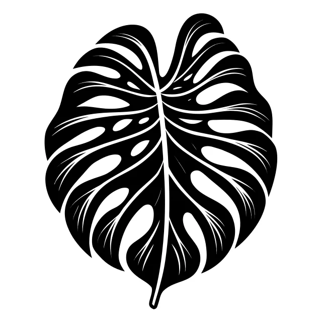 Monstera leaf